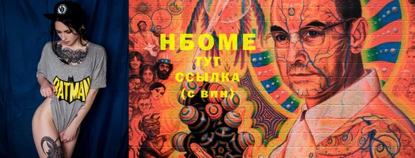 стаф Осинники