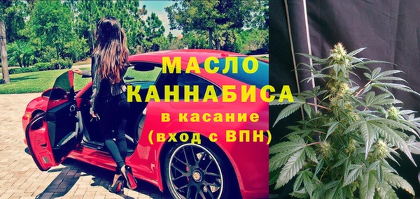 стаф Осинники