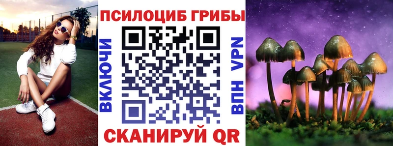 Псилоцибиновые грибы Cubensis Инсар